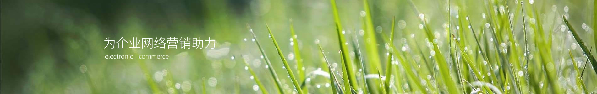 ںţƼ޹˾